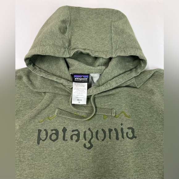 Patagonia hoodie sage green - Picture 2 of 9